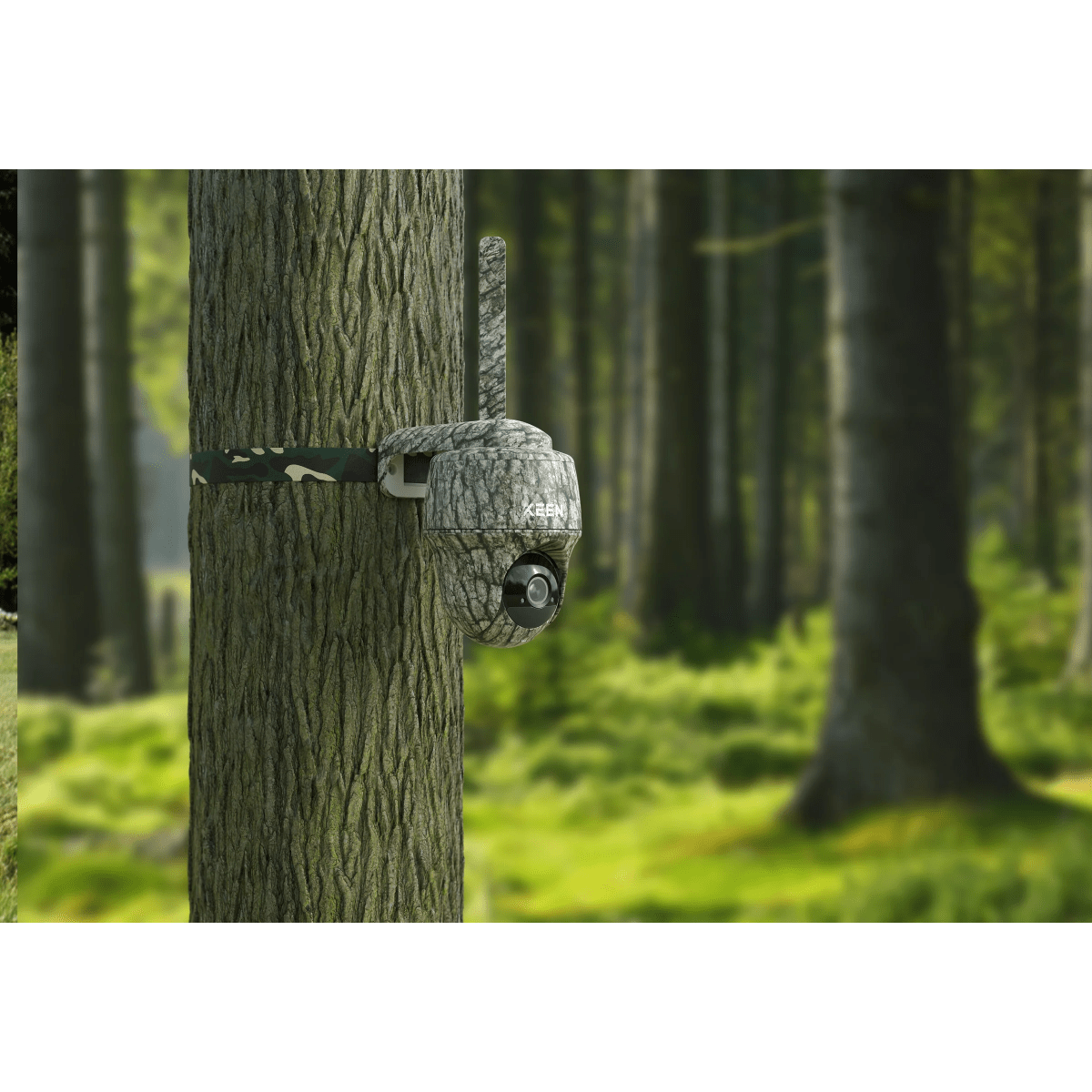 Reolink Go Ranger PT- 4K Ultra HD Vildtkamera inkl. solpanel