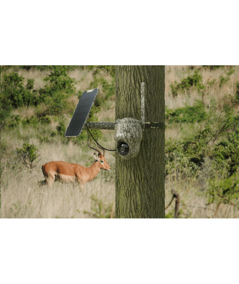 Reolink Go Ranger PT- 4K Ultra HD Vildtkamera inkl. solpanel