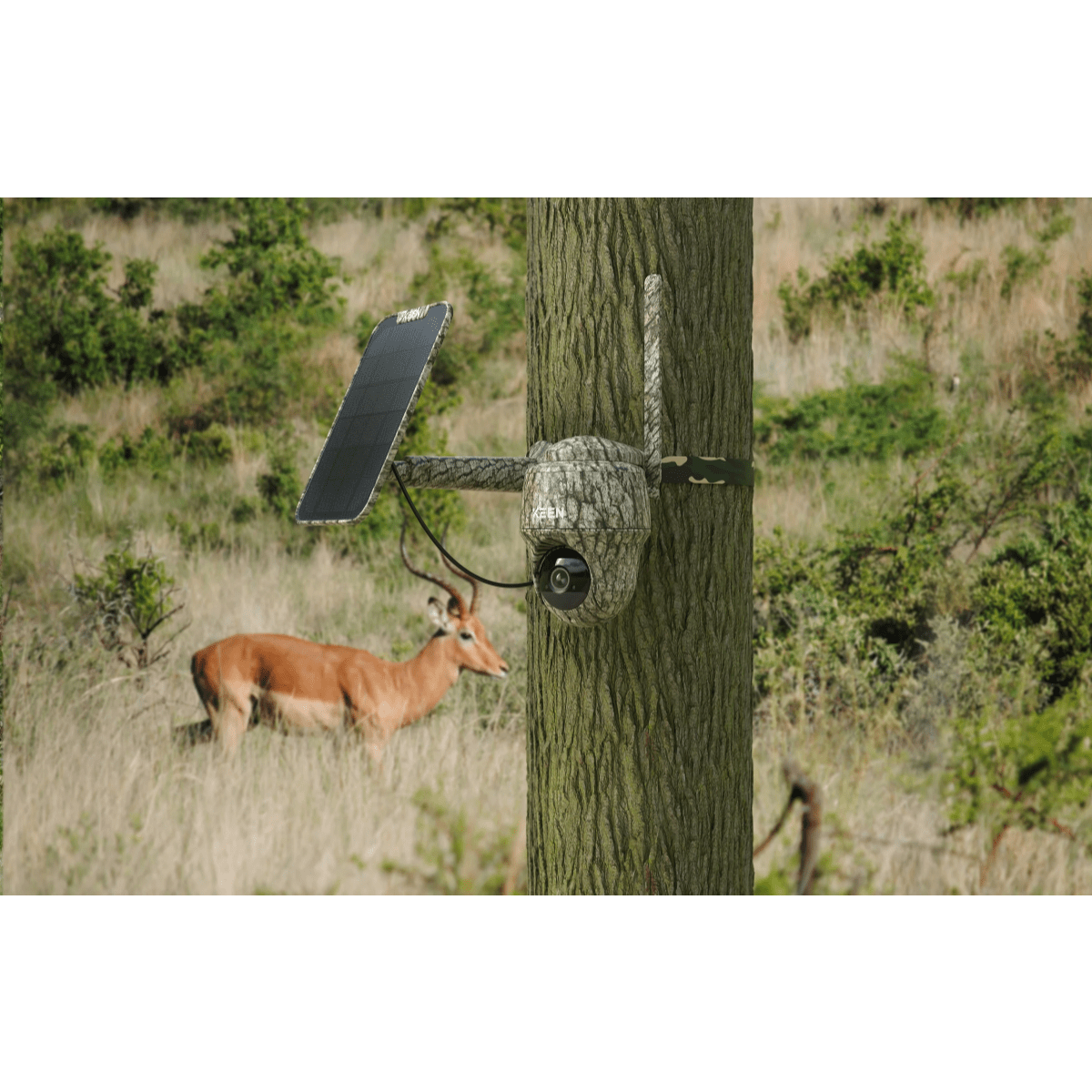 Reolink Go Ranger PT- 4K Ultra HD Vildtkamera inkl. solpanel