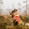 Sikkerhedsvest til hund - Blaze