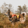 Sikkerhedsvest til hund - Blaze