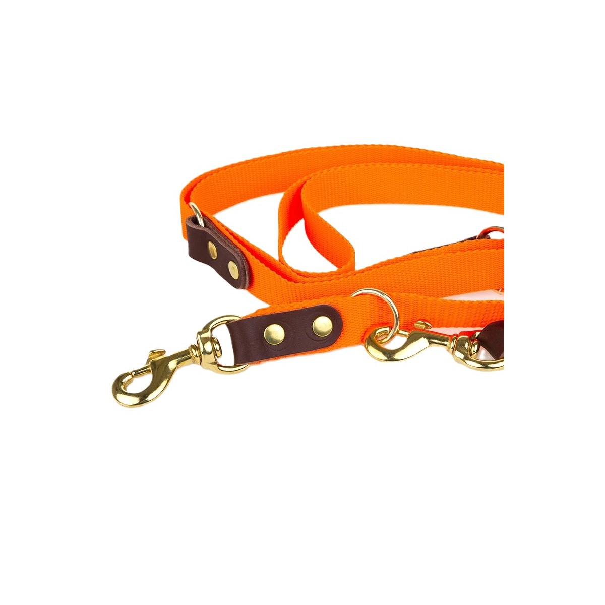 BLF - Dressurline 25 mm x 250 cm - 3 indstillinger