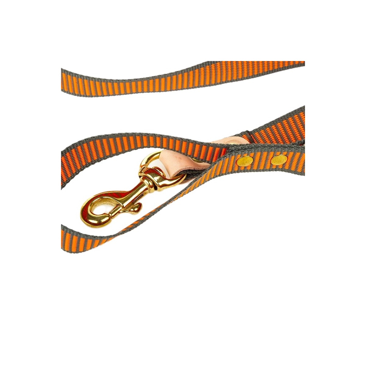 BLF - Dressurline 25 mm x 250 cm - 3 indstillinger