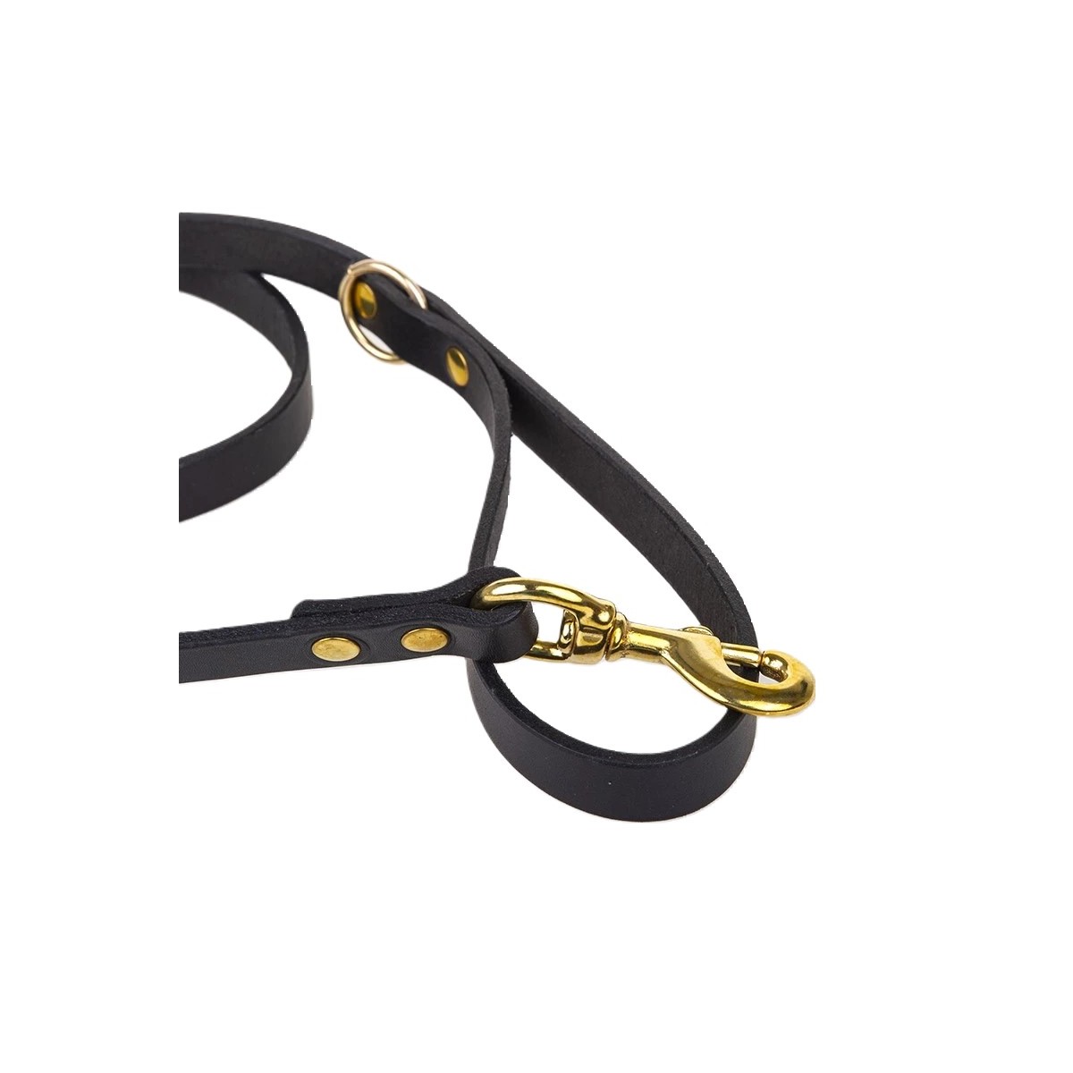 BLF - Dressurline 25 mm x 250 cm - 3 indstillinger