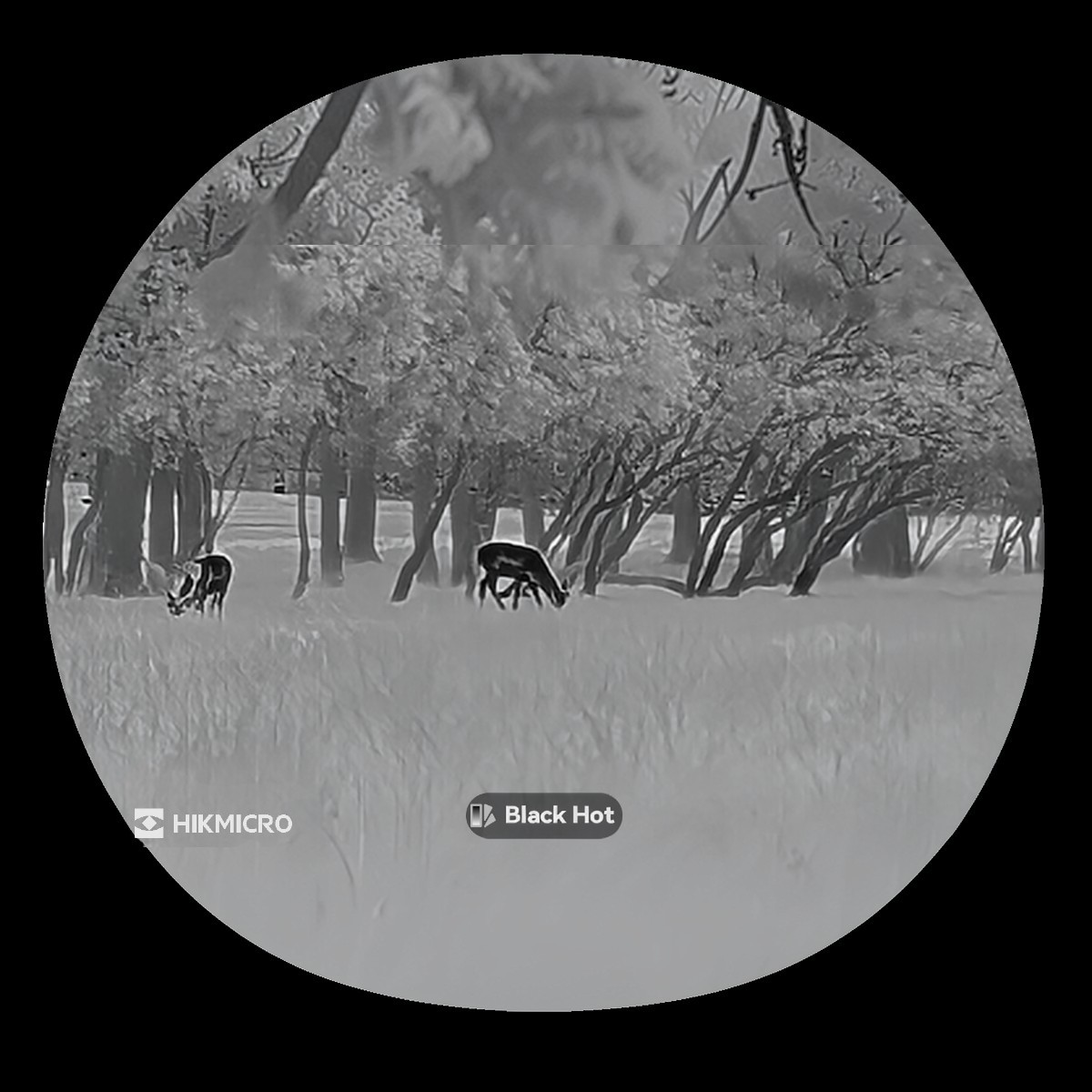 HikMicro Lynx 3.0 LH25 - termisk spotter