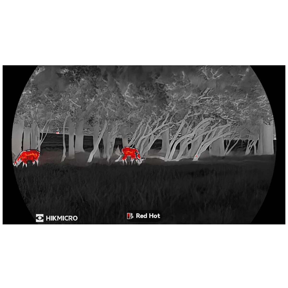 HikMicro Lynx 3.0 LH35 - termisk spotter