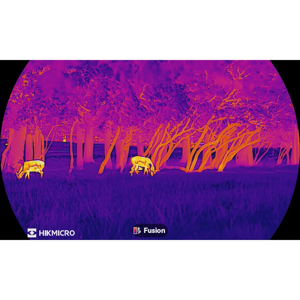 HikMicro Lynx 3.0 LH35 - termisk spotter