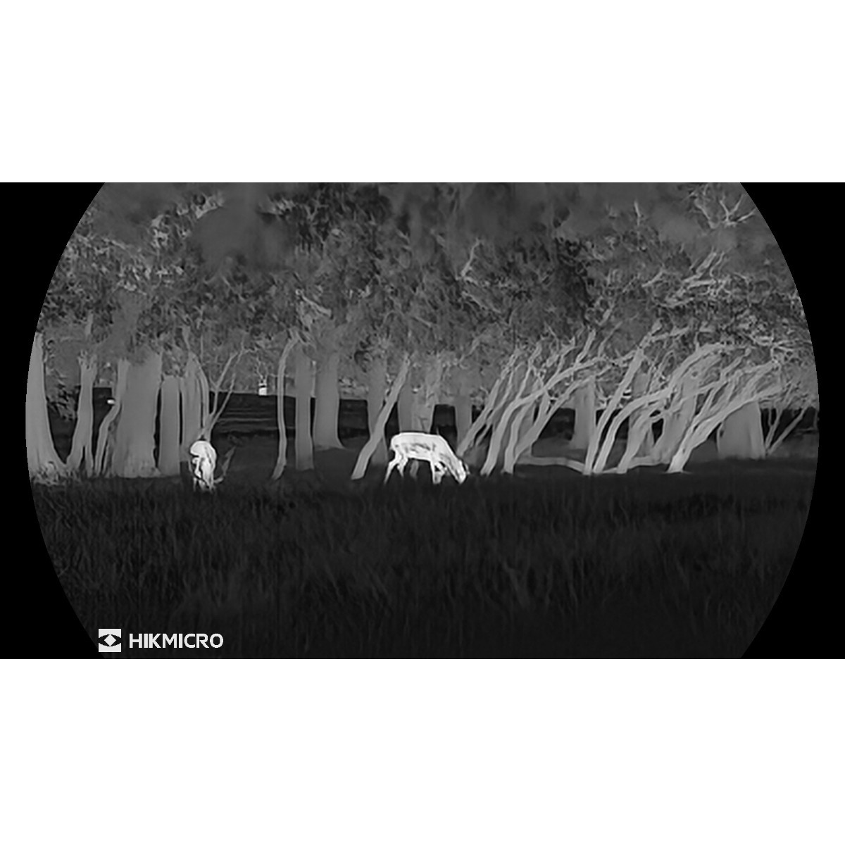 HikMicro Lynx 3.0 LH35 - termisk spotter