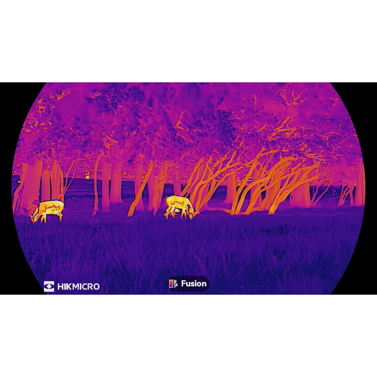 HikMicro Lynx 3.0 LH25 - termisk spotter