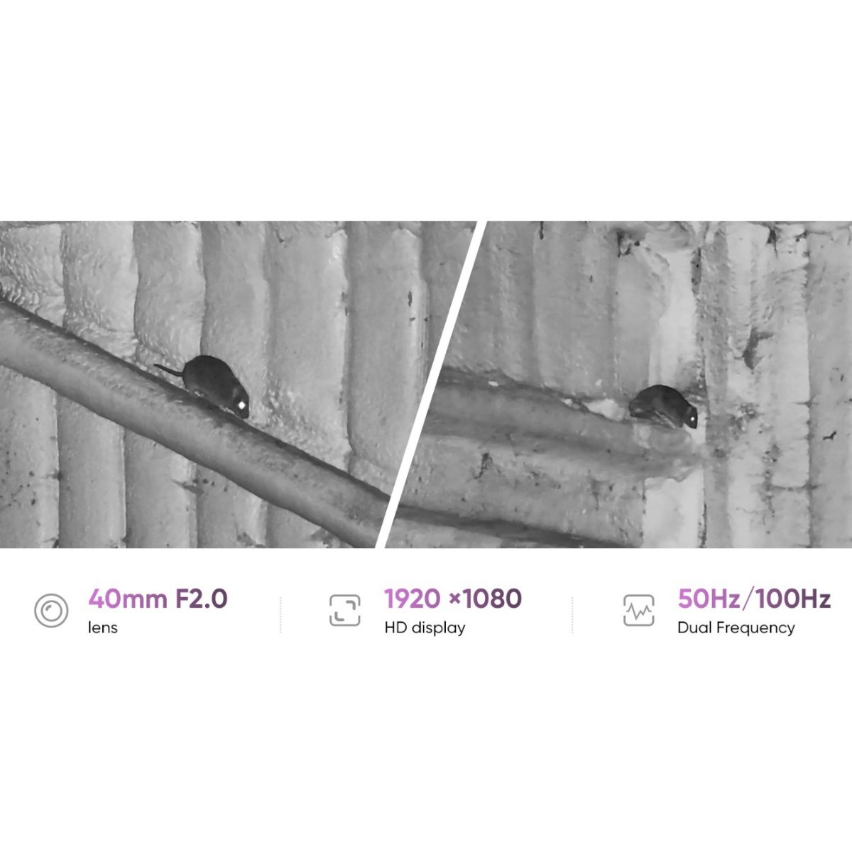 HikMicro ALPEX 4K Lite A40E - digitalt kikkertsigte