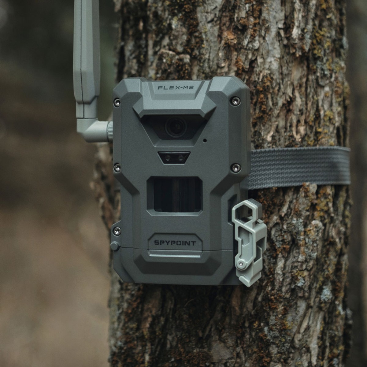 SPYPOINT FLEX-M2 vildtkamera med 4G