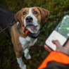 Tracker reflekshalsbånd til hund