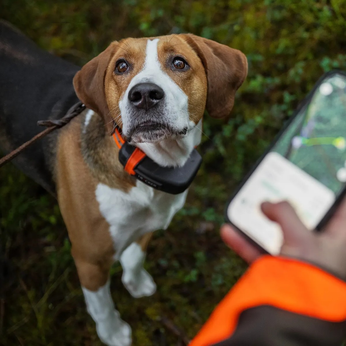 Tracker reflekshalsbånd til hund