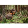Tracker Bark 4G IoT hunde-GPS
