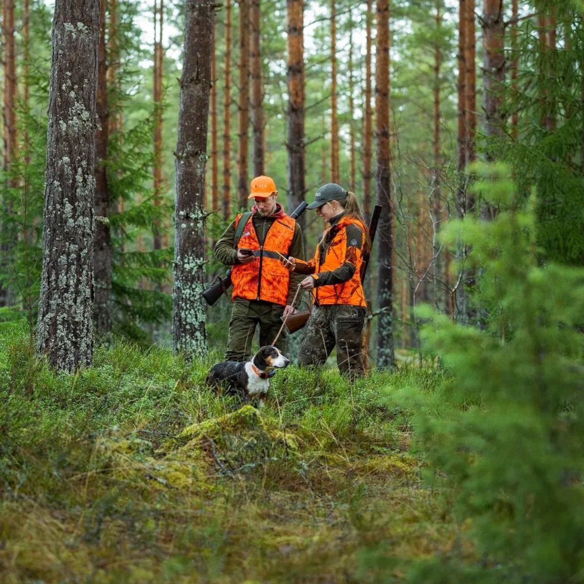 Tracker Bark 4G IoT hunde-GPS