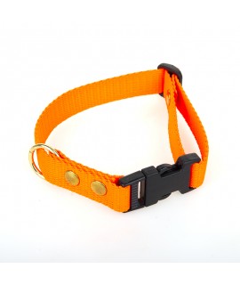 Halsbånd i webbing - orange 25 mm x 60 cm