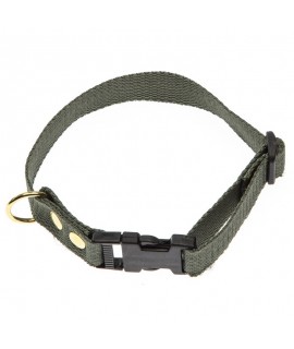 Halsbånd i webbing - grøn 25 mm x 60 cm