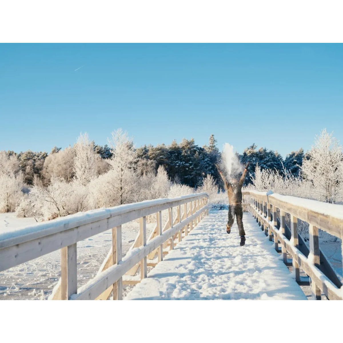 Pinewood Furudal Retriever Active bukser børn